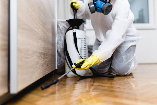 Best Mosquito Control Services  in Forest Oaks, NC