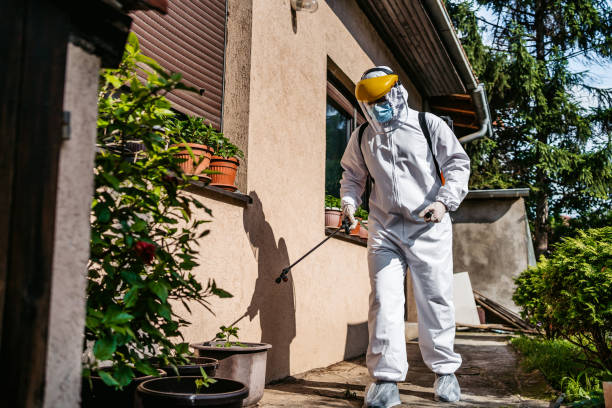 Best Ant Control Services  in Forest Oaks, NC
