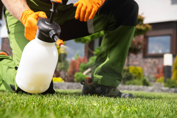 Flea Control Services in Forest Oaks, NC