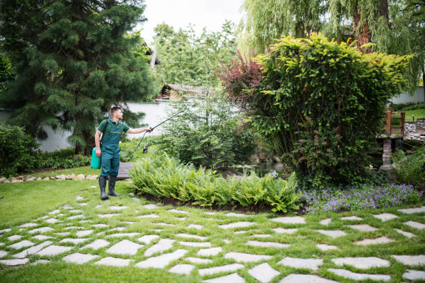 Best Residential Pest Control  in Forest Oaks, NC
