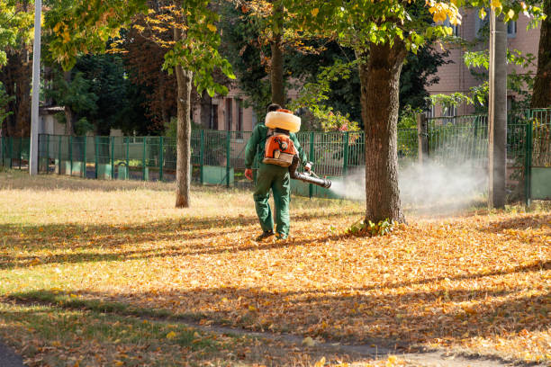 Best Bed Bug Extermination  in Forest Oaks, NC
