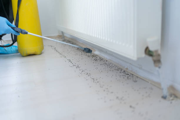 Best Rodent Control Near Me  in Forest Oaks, NC