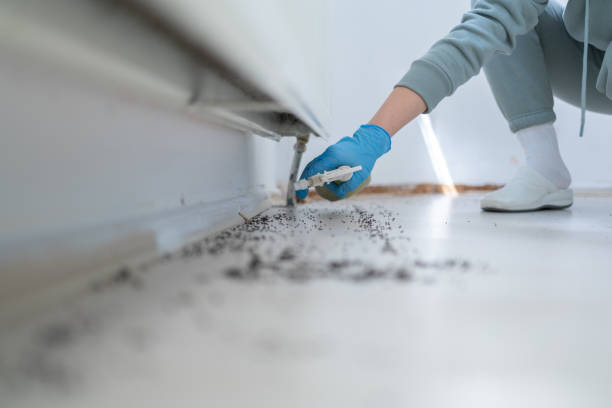 Best Affordable Pest Control Services  in Forest Oaks, NC